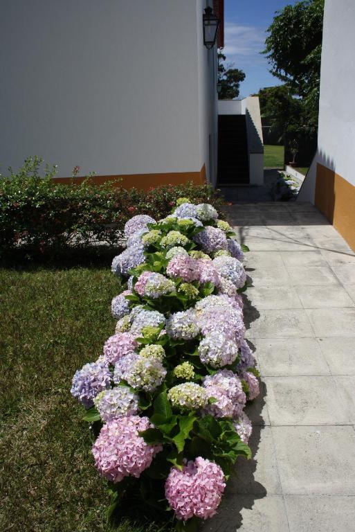 Quinta De Sao Caetano - Sao Miguel Acores Populo  Rom bilde